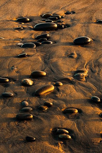 Jones, Adam 아티스트의 Pattern of smooth round stones on beach at sunset-Olympic National Park-Washington State작품입니다.